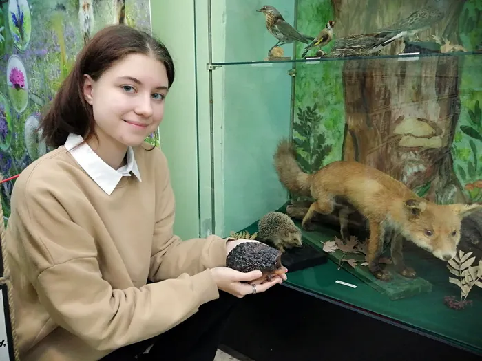 Знакомство с ежами