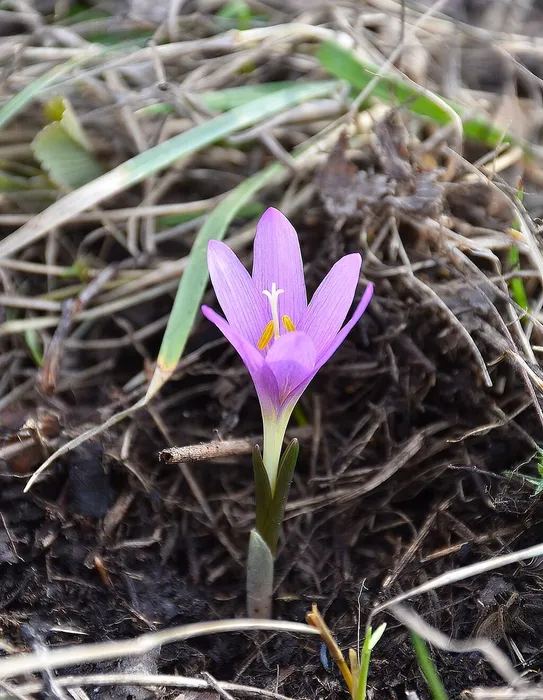 6g99EWDZrXmhEEvdnpXmOTsjV9FQct9HMpUZb917hJecTSTB5G9j3Q2HrclkHtto6P1wdStOhJsdhc3ek6Btk3Su