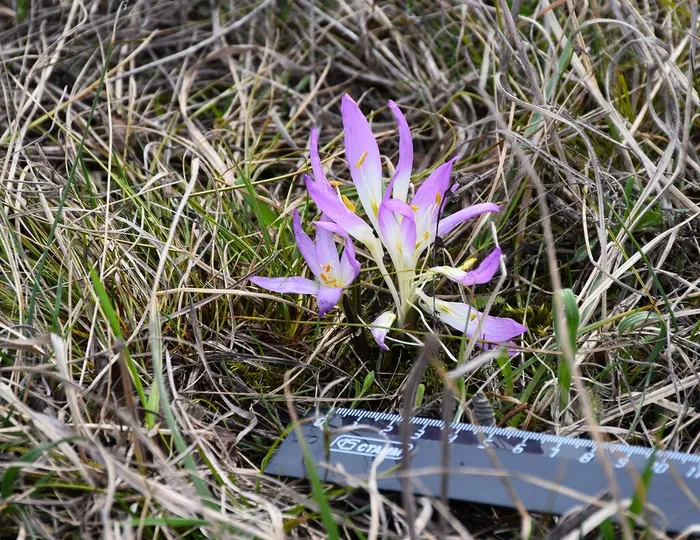 ZeekZll5A6ADye7-jIpyLxUMmybCjur_uMz39C7VtF328sZZBqV9flxcO-GOxQiZyUvQ_0WE1jk_AKUeVwlCYuW5