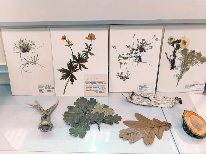 udx2gxYgGZMRN3-ZSVhNA8VnphG27_da5168WfGzyB1XWCeckJvDVFiaIbrpCkp1ROtoQ0F_Fa7EErcW72efOWDh