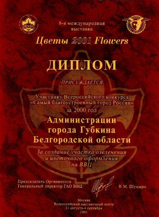 2001. Диплом администрации г.Губкина.